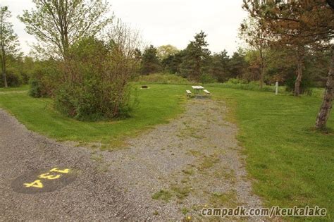 Campsite Photo of Site 134 at Keuka Lake State Park, New York - Looking ...