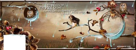 november-rain - 5810 - The Wondrous Pics