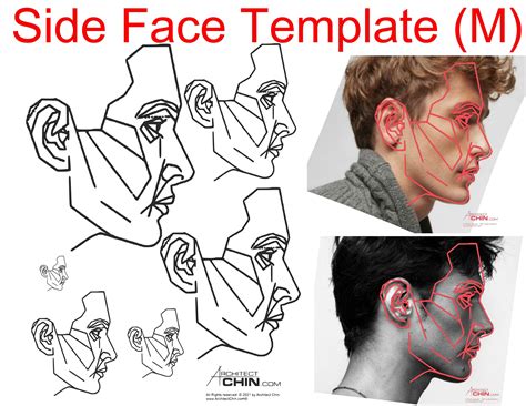 Male Face Template Male Face Ratio Male Face Grid Side Face - Etsy ...