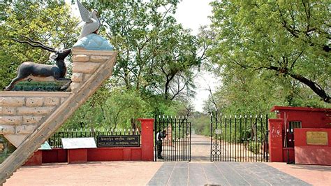 Keoladeo National Park Timing, Entry Fee, Best Time To Visit & Famous ...