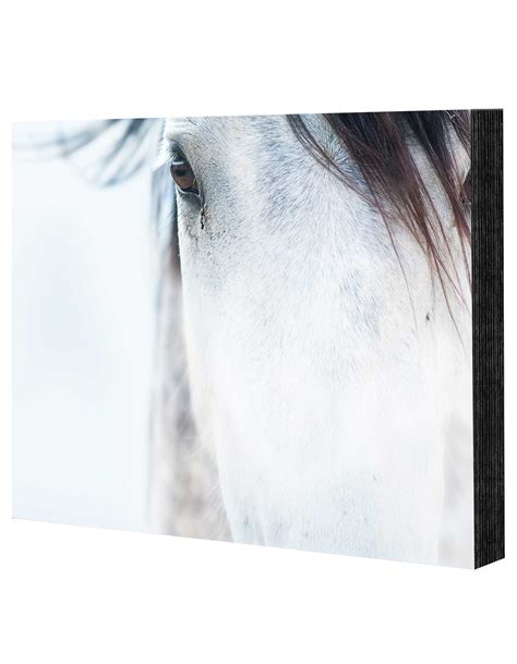 Mounted Photo Prints - 100% Professional Quality | Order Now