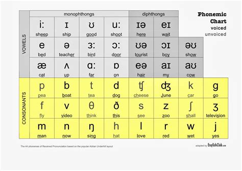 Ipa International Phonetic Alphabet Phonetic Alphabet English | Porn ...