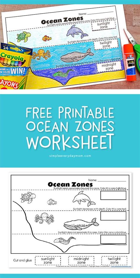 Ocean Zones For Kids: Learning About The Amazing Ocean | Ocean ...