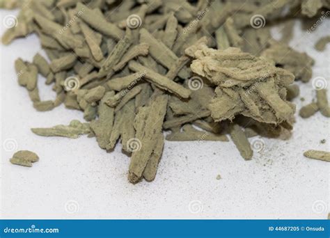 Fungus on cheese stock image. Image of contaminated, closeup - 44687205