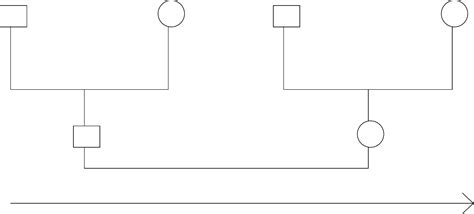 Genogram Template For Word - Toptemplate.my.id