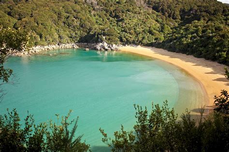 The Best 3 Beaches in the Abel Tasman National Park, New Zealand