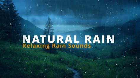 NATURAL RAIN AMBIENCE | Heavy Rain Sounds for Sleeping and Relaxation ...