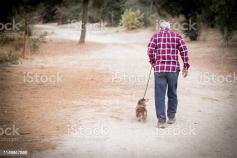 Senior Black Man Walking His Dog Stock Photo - Download Image Now - Dog ...