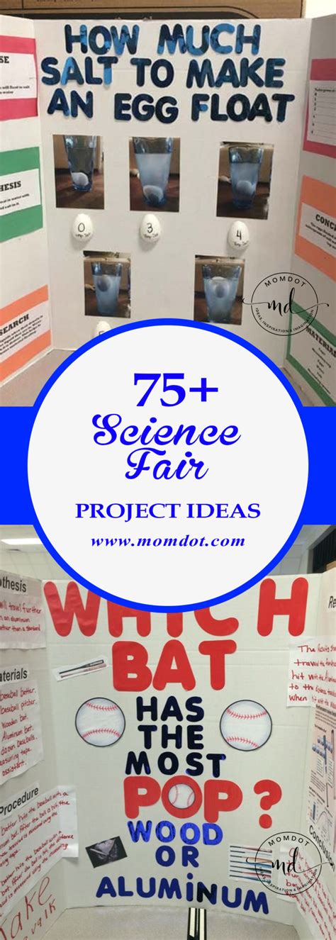 75+ FANTASTIC Science Fair Project Ideas! MomDot