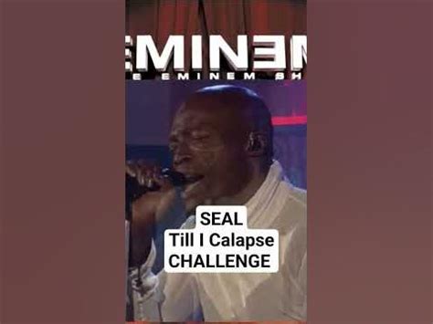 Seal doing the Enimem Till I Calapse CHALLENGE. Another Love TKO Remix ...