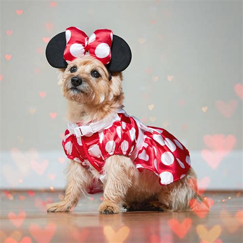 Disney Dog Costumes for a Magical Halloween