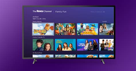 How To Stream Bilingual Movies On Roku - GEARRICE