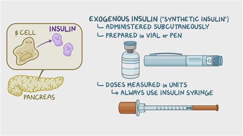 Insulin Dosing and Administration Protocols - Osmosis Video Library