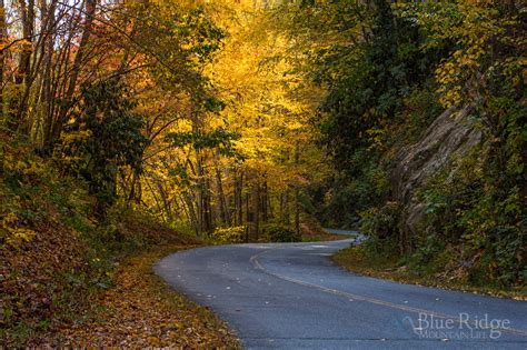 Fall Foliage 2018 Forecast and Guide - Blue Ridge Mountain Life