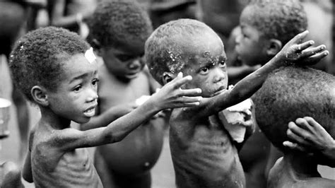 2,300 under-five children die of malnutrition annually in Nigeria ...