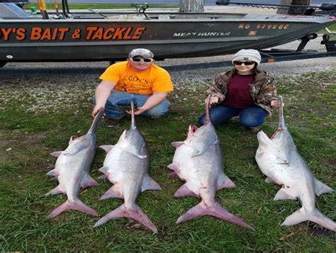 Lake Of The Ozarks Fishing Report 2019 - Unique Fish Photo