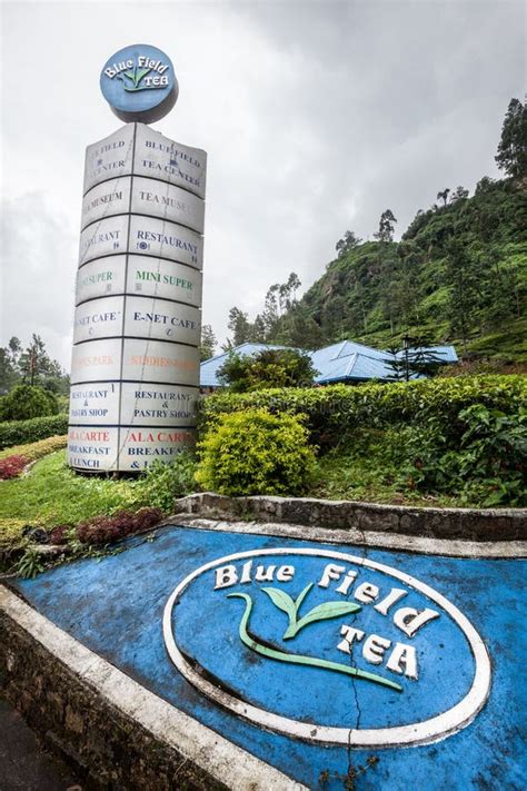 Inside A Tea Factory In The Highlands Of Sri Lanka Editorial Image ...