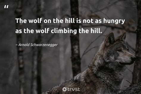 Wolf Quotes And Poems