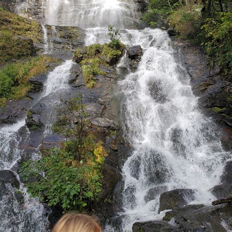 Amicalola Falls State Park Camping | The Dyrt