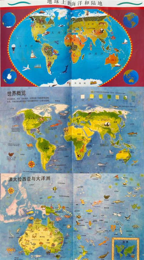 Geography World Map Atlas Books for Kids in Chinese and English