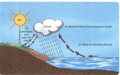 Explain monsoon breeze Give a suitable diagram