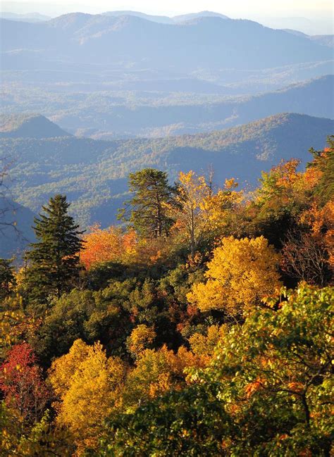 Fall Color Forecast 2024, Asheville & NC Mountains | RomanticAsheville ...