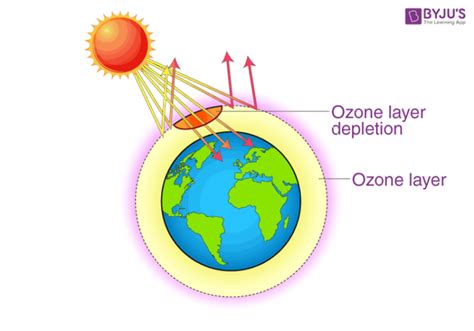 Ozone Layer Depletion - Causes and Effects of Ozone Layer Depletion