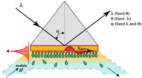 Sensors | Free Full-Text | SPR and SPR Imaging: Recent Trends in ...