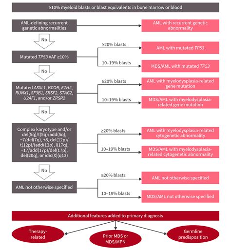 2022 ELN recommendations for the diagnosis of AML in adults (2022)