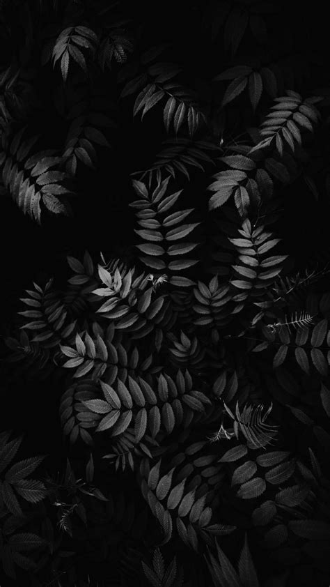 Dark and Mysterious Leaf Pattern