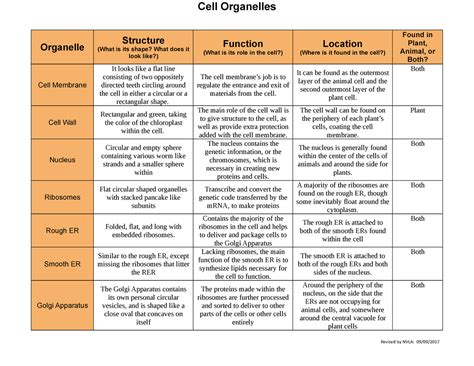 M3L1 Cell Organelles Chart - Cell Organelles Organelle Structure (What ...