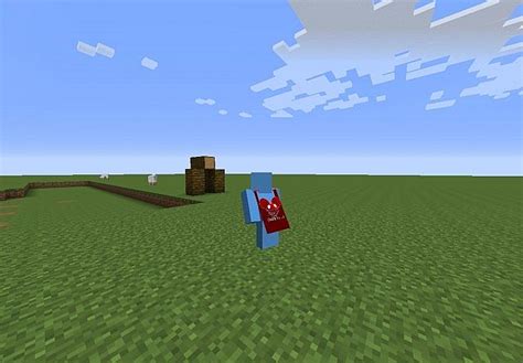 Custom HD Capes & Skins! Minecraft Mod