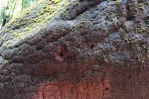 Naga Cave closed indefinitely after being defaced by visitors - Asia ...