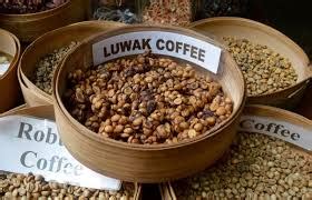 Benefits of Coffee - Kopi Luwak - Clarences Bar