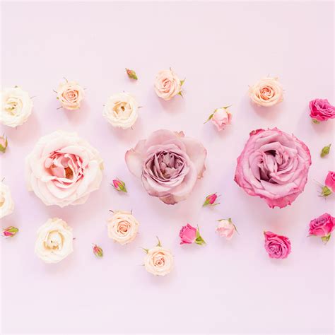 Free 2019 floral desktop wallpapers Archives - JustineCelina