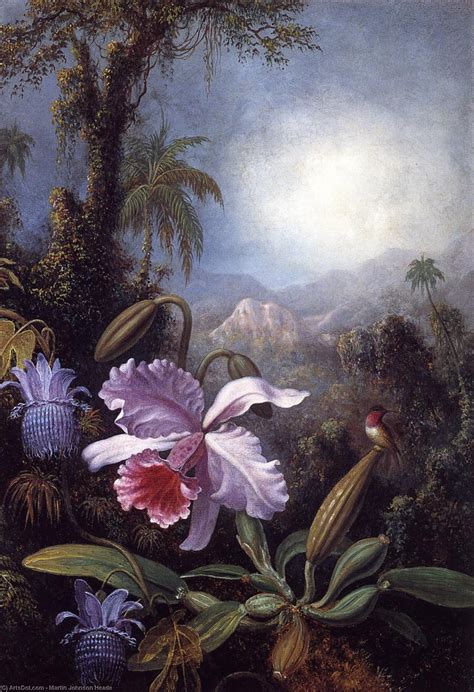 Reproducciones De Pinturas Orquídeas, flores de pasión y colibrí, 1875 ...