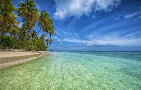 Trinidad & Tobago travel | Caribbean - Lonely Planet