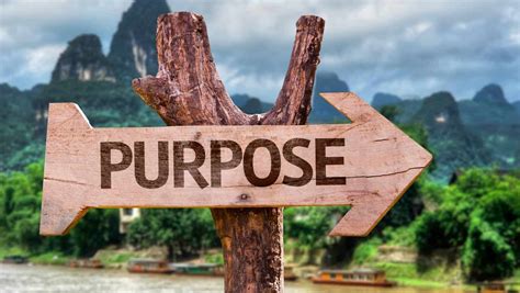 Purpose In Life - 7 Reasons You Need To Know Your Purpose