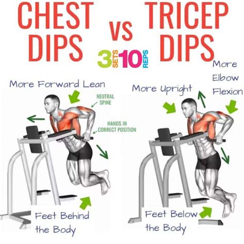 How to Do Tricep Dips & Chest Dips, Tips, Benefits | Weighteasyloss.com