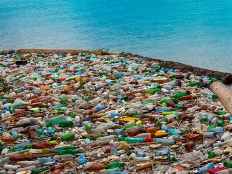 Explainer: What Is the Great Garbage Patch? | Earth.Org