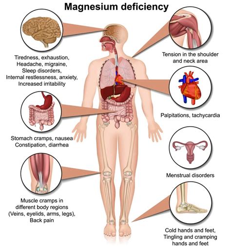 The Importance of Magnesium Health benefits, deficiency, sources