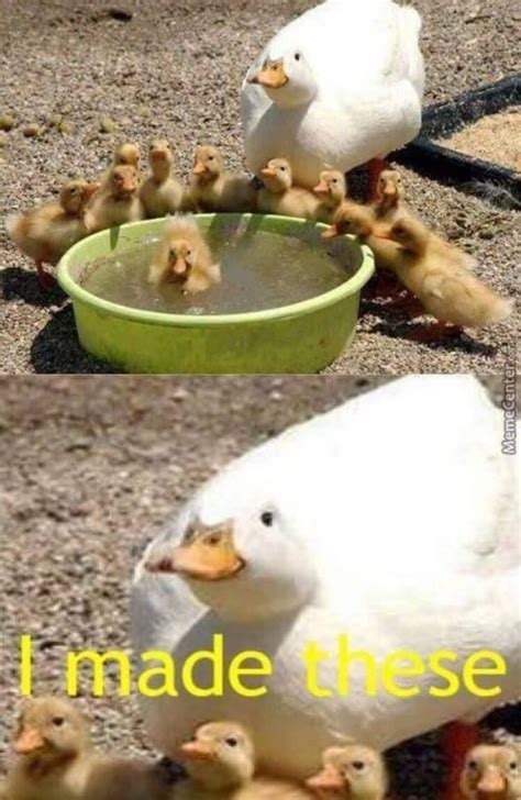 Goose goose duck : r/memes