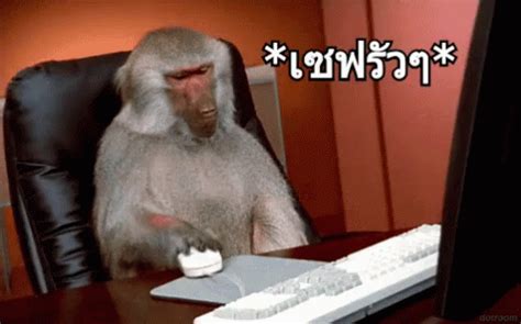 กดเซฟรัวๆ เซฟ GIF - Monkey Download Click Mouse - Discover & Share GIFs