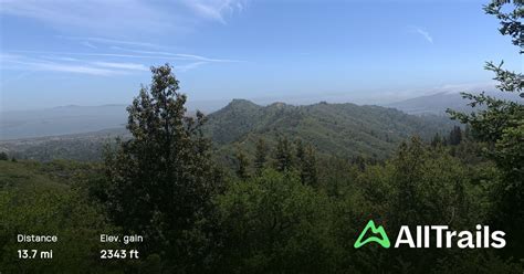 Mount Tamalpais Summit Loop, California - 242 Reviews, Map | AllTrails