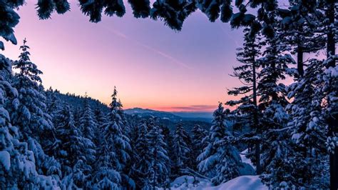 Free Facebook Cover Photos For Winter | Winter wonderland, Vancouver ...