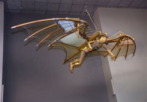 Leonardo da Vinci Ornithopter Model | National Air and Space Museum