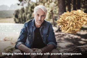 Stinging Nettle Root helps Prostate Enlargement | Pacific Center for ...