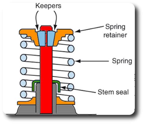 Valve Seal O-Ring Automotive Technical Educational Article