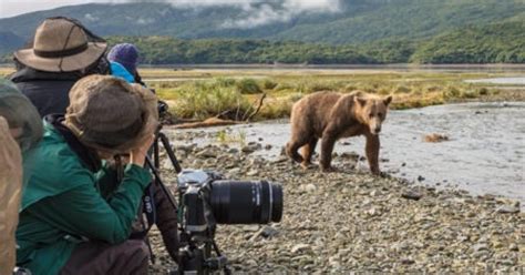 Kodiak Bear Viewing Lodges | Where To Stay | ALASKA.ORG