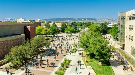 Colorado State University Top Courses and Ranking